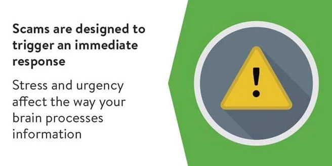 Infographic with a yellow triangle and explanation point inside of it. The text reads: 'Scams are designed to trigger an immediate response. Stress and urgency affect the way your brain processes information.'