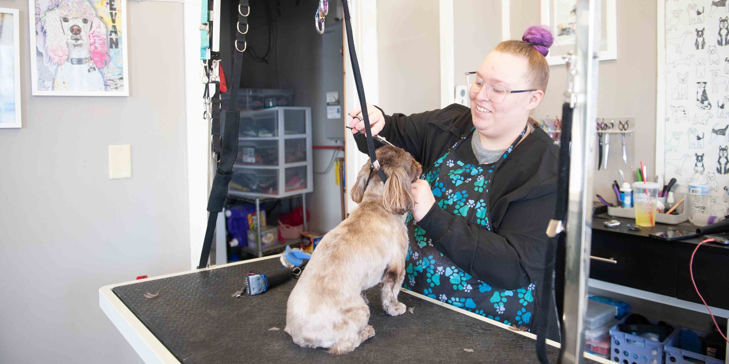 Animal lover turns her passion into a grooming business