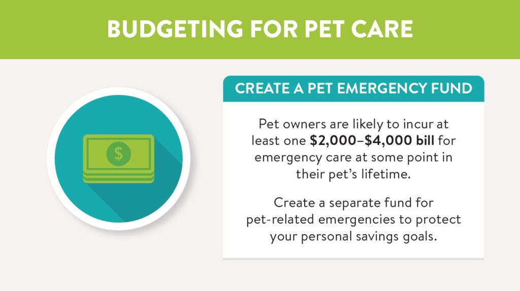 Create a pet emergency fund