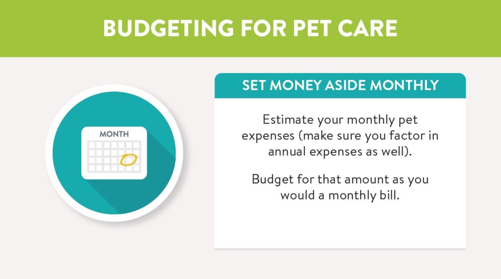 Budgeting for pet care