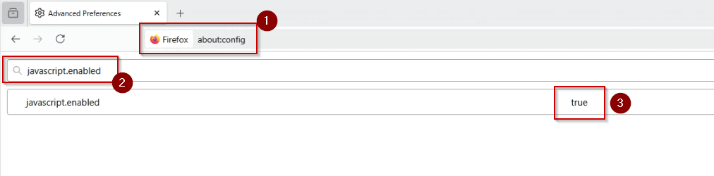 Example of JavaScript settings in the Firefox browser.