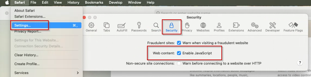 Example of JavaScript settings in the Safari browser.